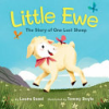 Little_Ewe