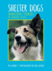 Shelter_dogs