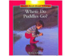 Where_do_puddles_go_