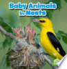 Baby_animals_in_nests