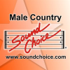 Karaoke_-_Classic_Male_Country_-_Vol__29