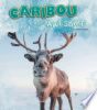 Caribou_are_awesome