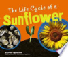 The_life_cycle_of_a_sunflower