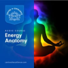 Energy_Anatomy