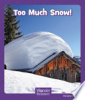 Too_much_snow_