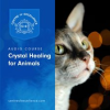 Crystal_Healing_for_Animals