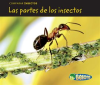 Las_partes_de_los_insectos
