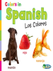 Colors_in_Spanish