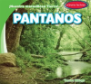 Pantanos__Swamps_
