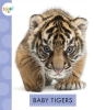 Baby_Tigers
