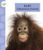 Baby_Orangutans