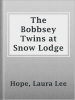 The_Bobbsey_Twins_at_Snow_Lodge