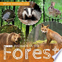 Animals_In_The_Forest