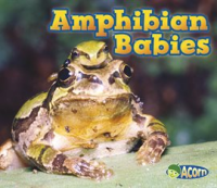 Amphibian_Babies
