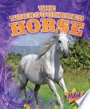 The_Thoroughbred_horse