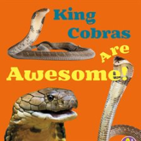 King_Cobras_Are_Awesome_