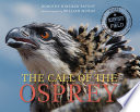 The_call_of_the_osprey