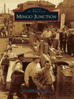 Mingo_Junction