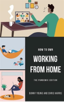 How_to_Own_Working_From_Home