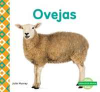 Ovejas__Sheep_