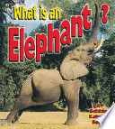 What_is_an_elephant_