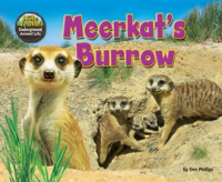 Meerkat_s_Burrow
