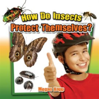 How_Do_Insects_Protect_Themselves_