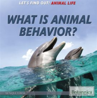 What_Is_Animal_Behavior_