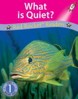 What_is_Quiet_
