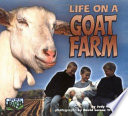 Life_on_a_goat_farm