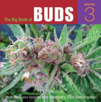The_Big_Book_of_Buds