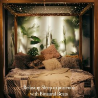 Relaxing_Sleep_Experience_with_Binaural_Beats