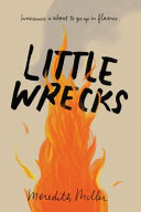 Little_wrecks
