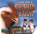 Life_on_a_chicken_farm