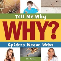 Spiders_Weave_Webs