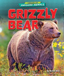 Grizzly_Bear
