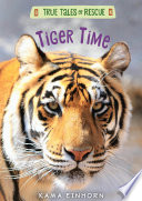 Tiger_time
