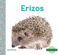 Erizos__Hedgehogs_