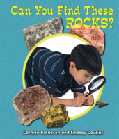 Can_You_Find_These_Rocks_