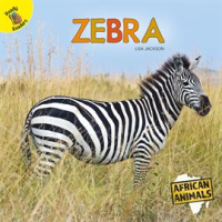 African_Animals_Zebra