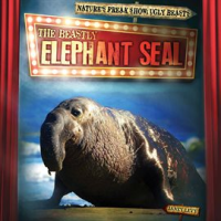 The_Beastly_Elephant_Seal