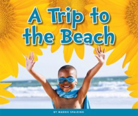 A_Trip_to_the_Beach