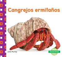 Cangrejos_ermita__os__Hermit_Crabs_