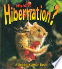 What_is_hibernation_