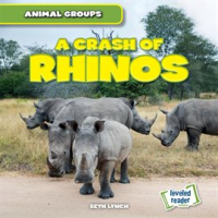 Crash_of_Rhinos