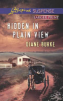 Hidden_in_Plain_View