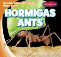 Hormigas__Ants_