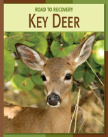 Key_Deer