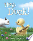 Hey__duck_