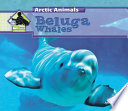 Beluga_whales
